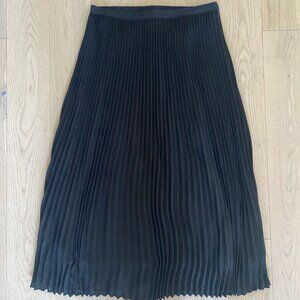 Aritzia Pleated Maxi Skirt